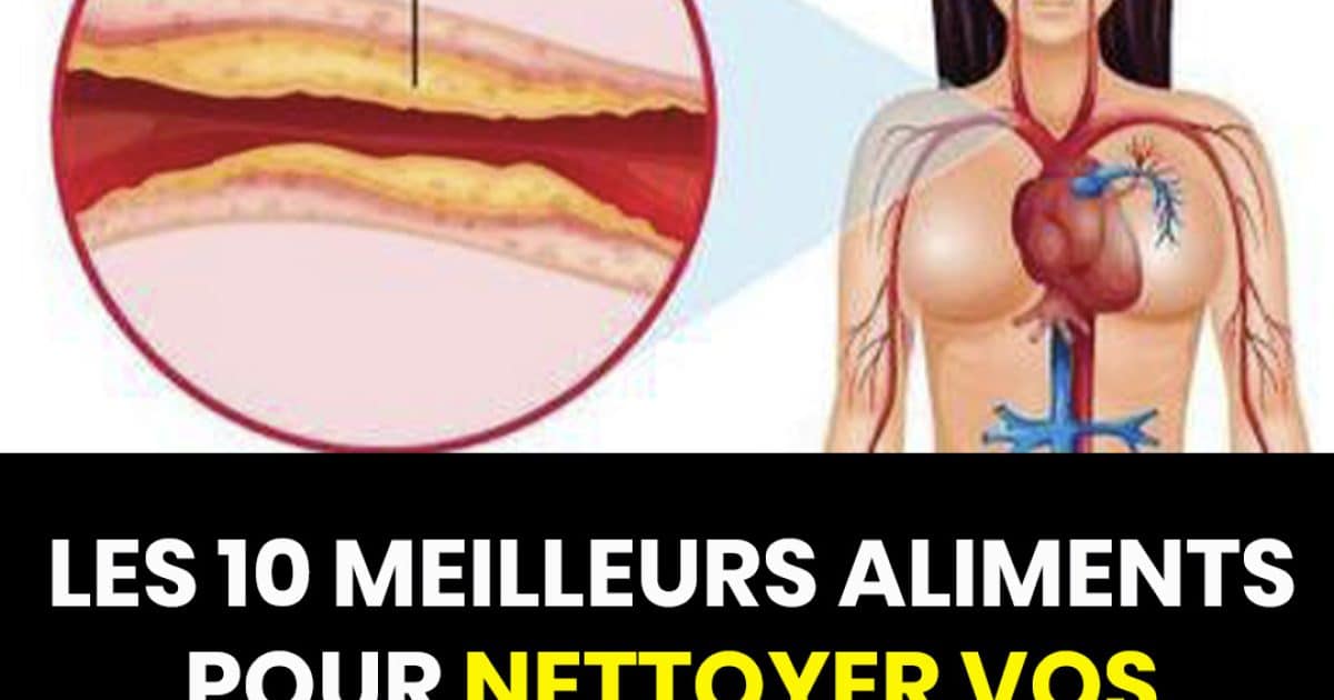 10 aliments à consommer quotidiennement pour des artères saines