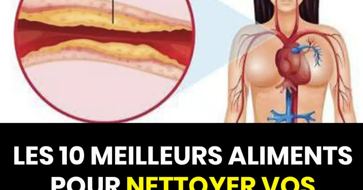 10 aliments à consommer quotidiennement pour des artères saines
