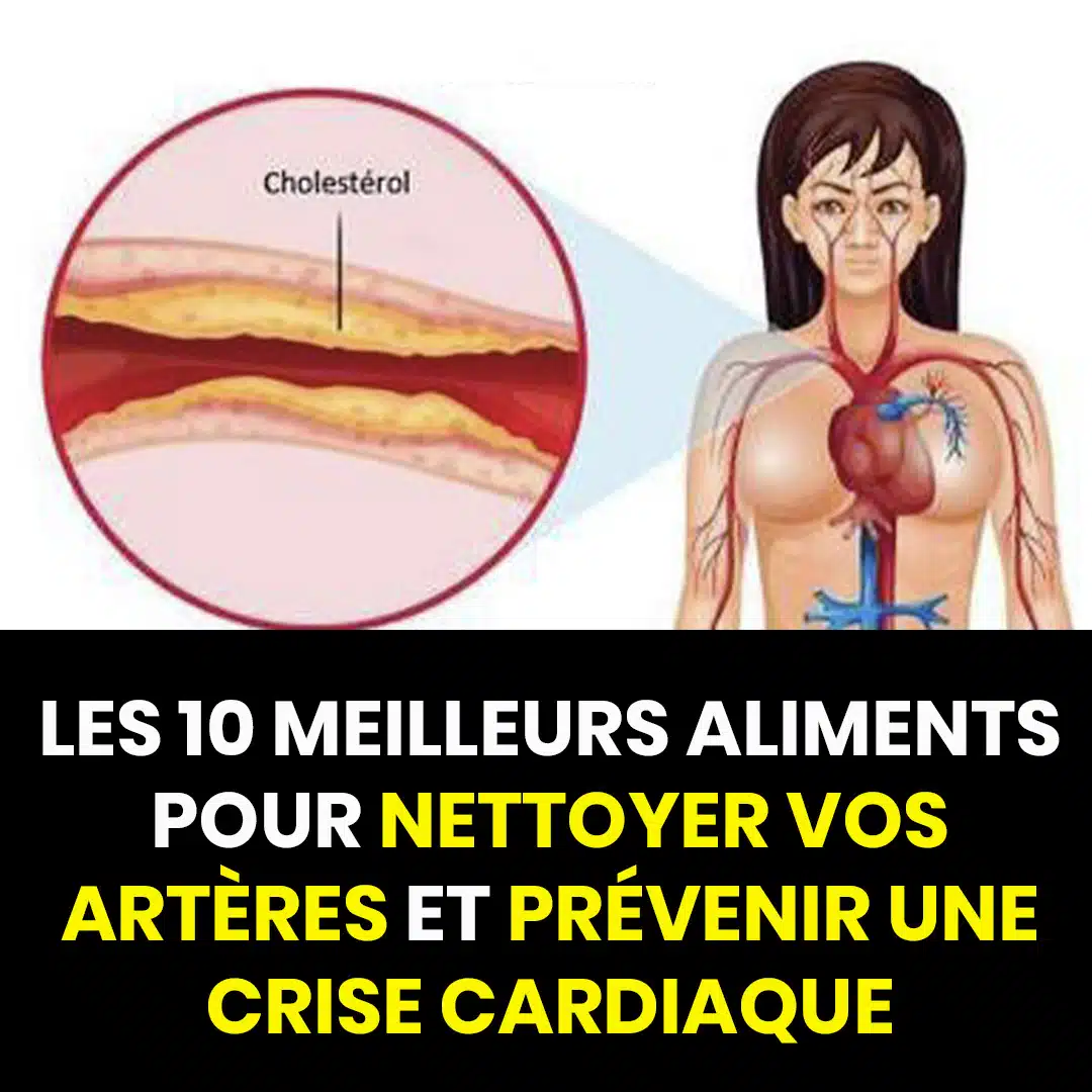 10 aliments à consommer quotidiennement pour des artères saines