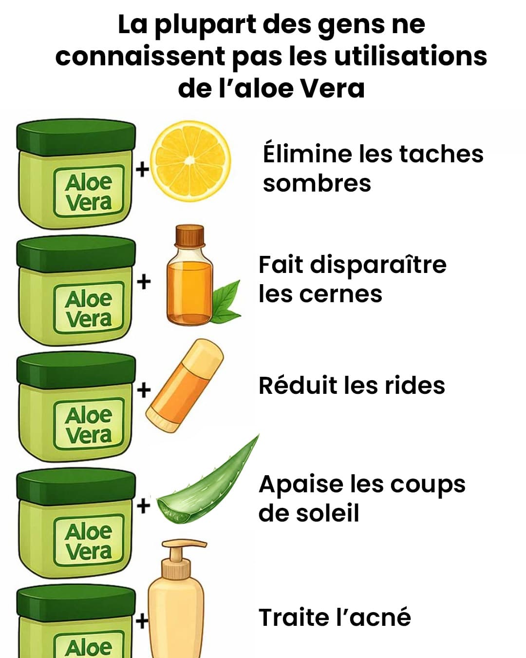 10 astuces à base d’Aloe Vera