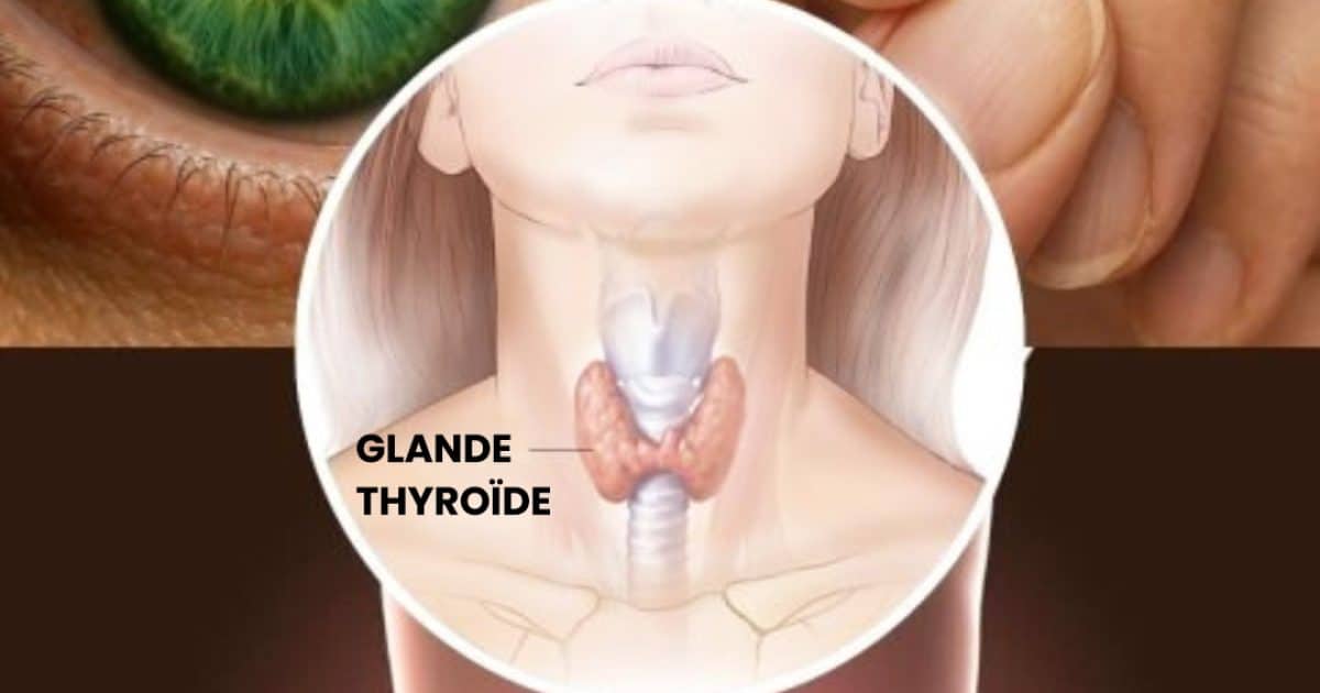 10 signaux cachés indiquant que votre thyroïde ne fonctionne pas correctement