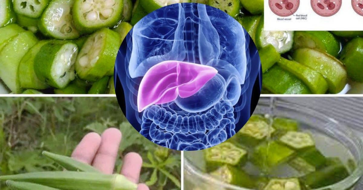 11 bienfaits de boire de l'eau de gombo tous les jours