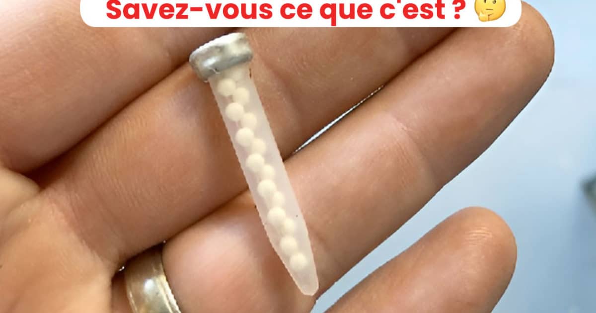 15 découvertes étranges qui paraissaient insolites jusqu'à leur élucidation