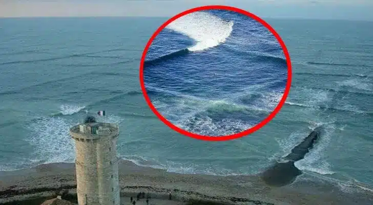 Vagues se croisant près du rivage