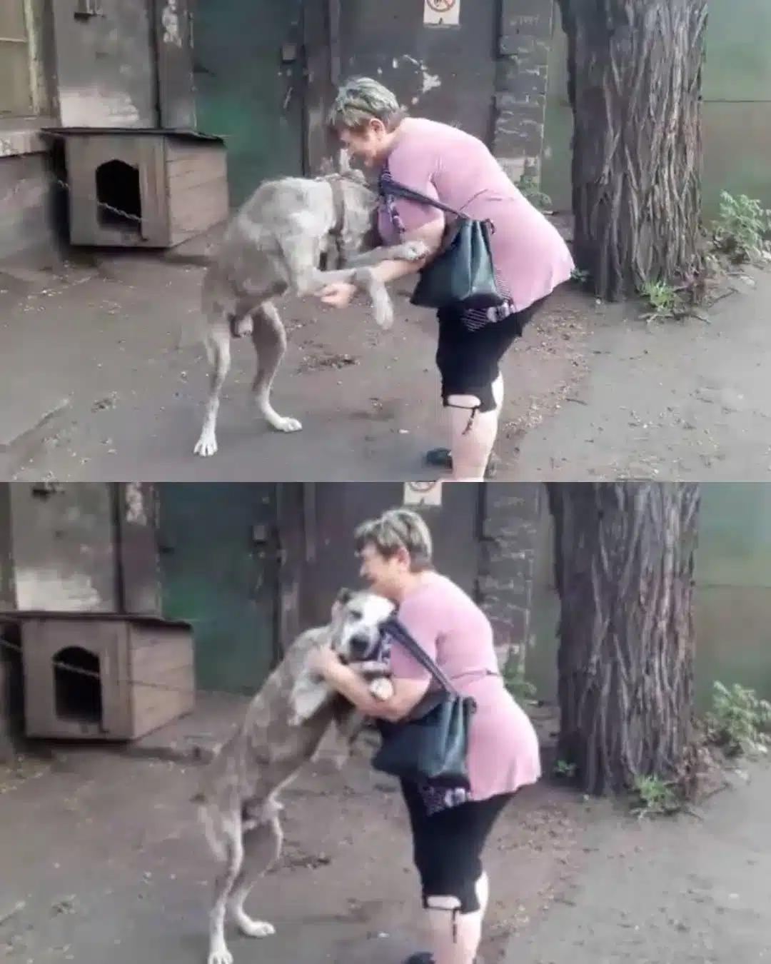 Retrouvailles émouvantes entre Claire et Lucky