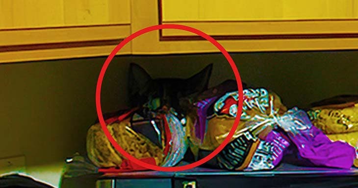 Solution du défi visuel – source : spm