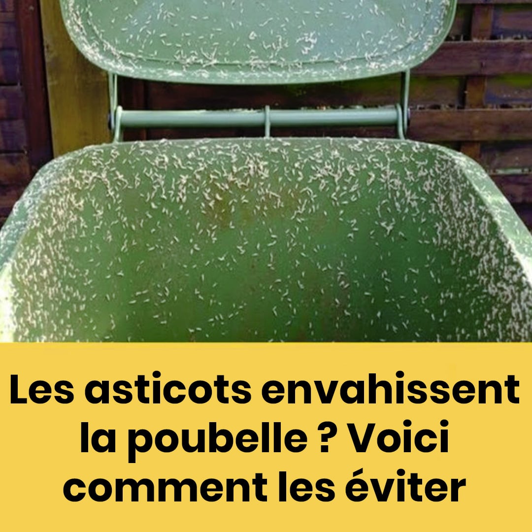4 astuces efficaces pour éliminer les asticots dans votre poubelle extérieure