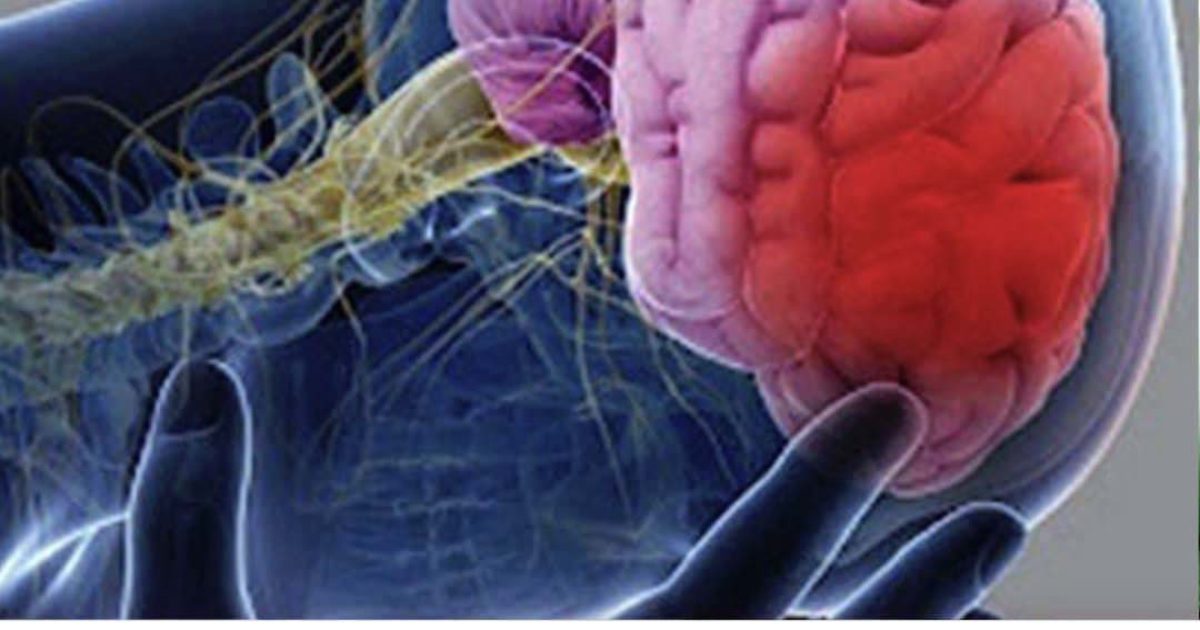 4 habitudes matinales courantes qui augmentent le risque d'AVC et devraient être évitées à tout âge