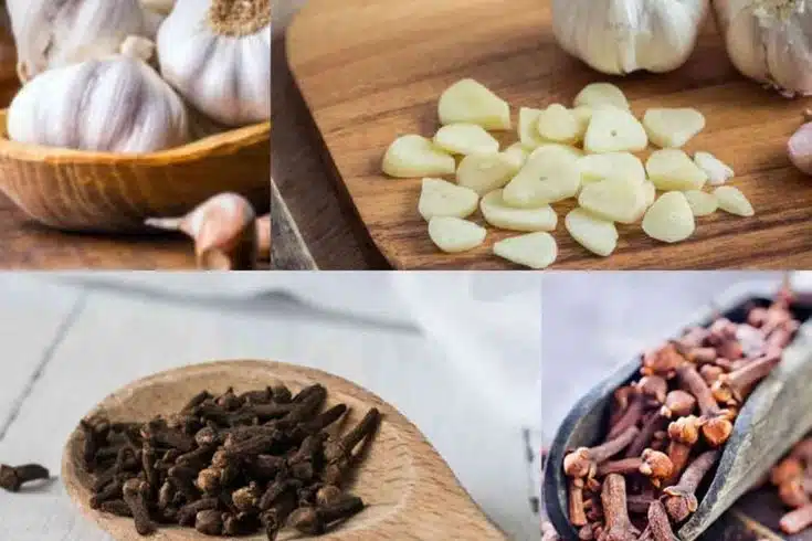 Ingrédients naturels : ail et clous de girofle