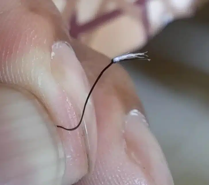 Poil de barbe bifurqué en plusieurs brins