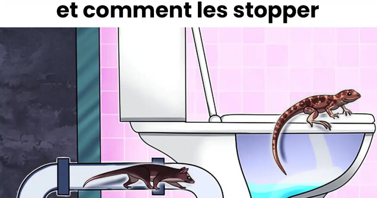5 créatures qui peuvent s'infiltrer dans tes toilettes et comment les stopper