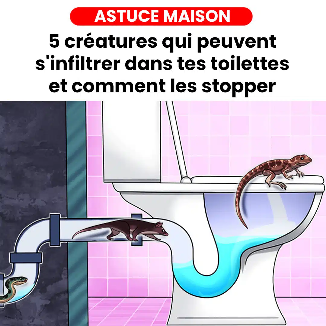 5 créatures qui peuvent s'infiltrer dans tes toilettes et comment les stopper