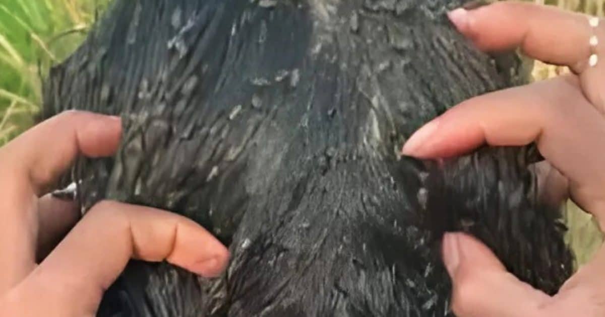 5 mythes courants sur le fait de dormir avec les cheveux mouillés