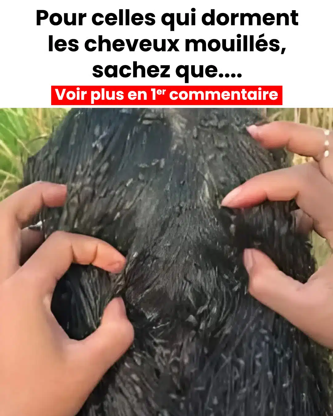 5 mythes courants sur le fait de dormir avec les cheveux mouillés
