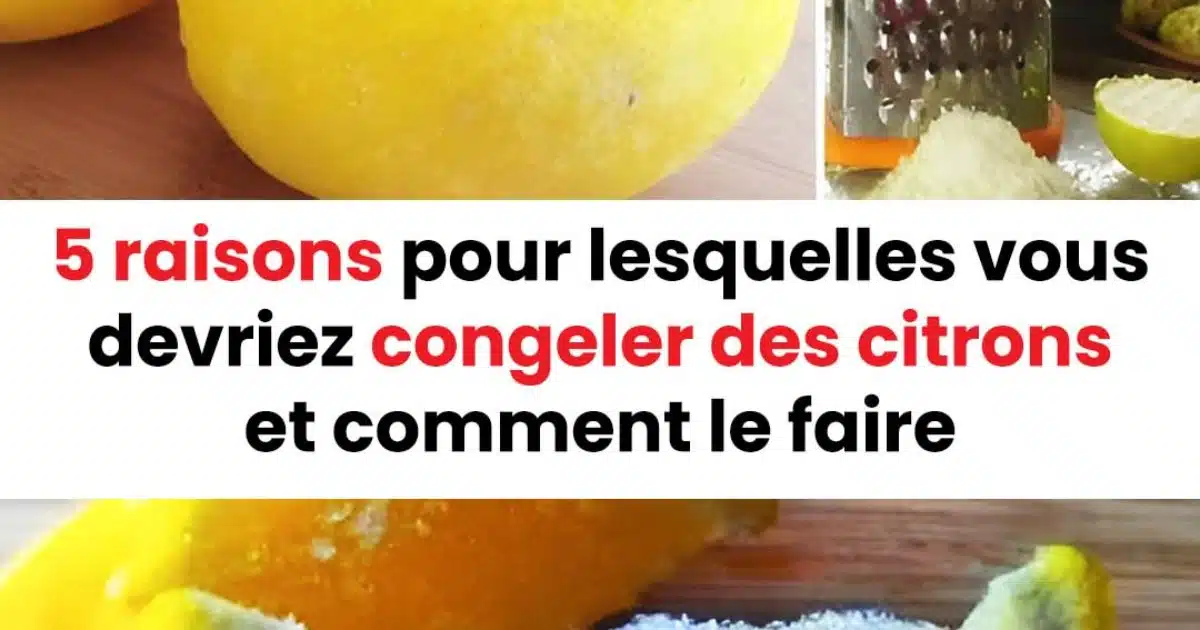 5 raisons pour lesquelles vous devriez congeler des citrons et comment le faire