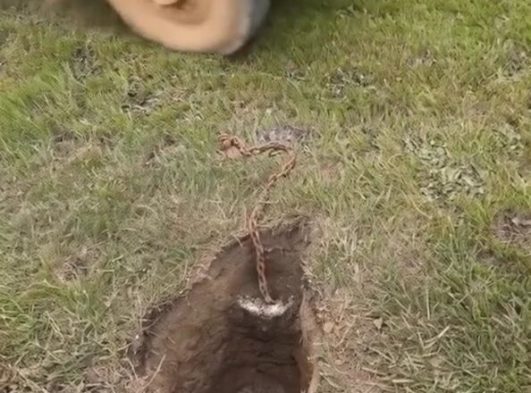 Chaîne rouillée découverte sous une boîte aux lettres