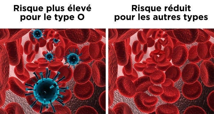 6 choses à savoir sur vous si vous êtes du groupe sanguin O