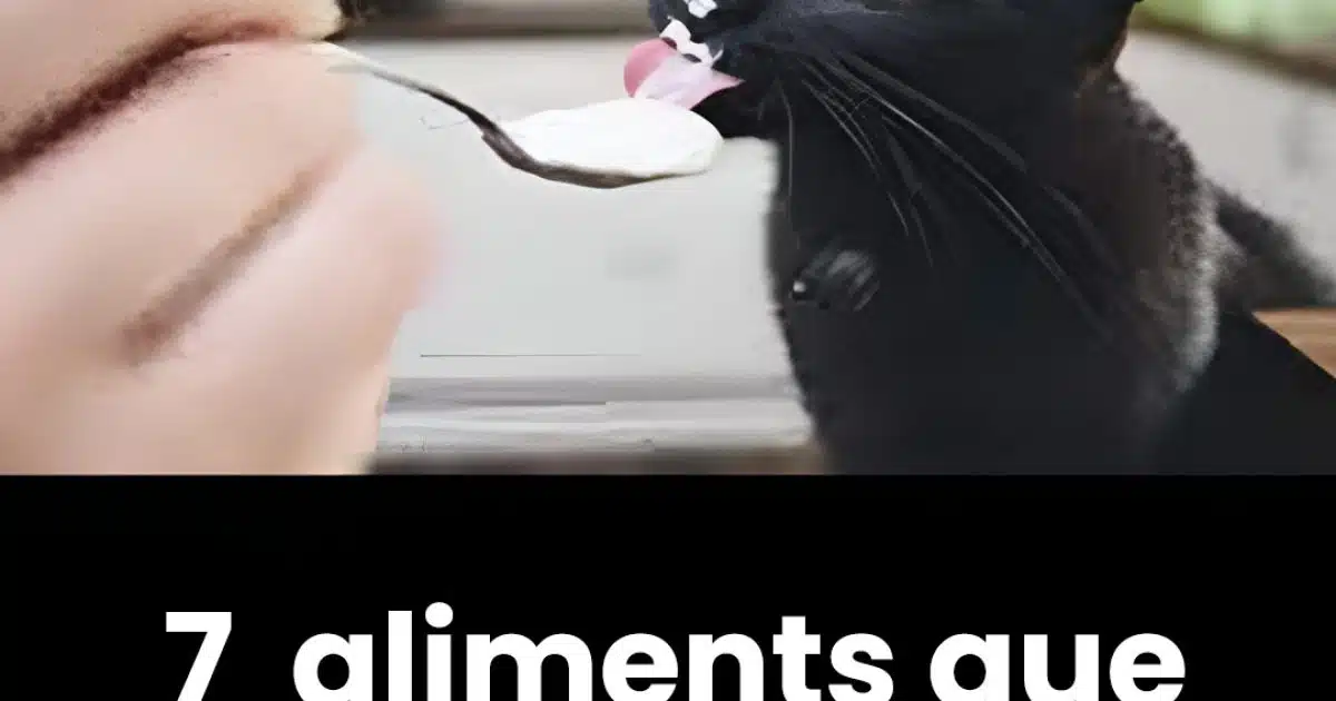 7 aliments que vous ne devez pas donner à votre chat