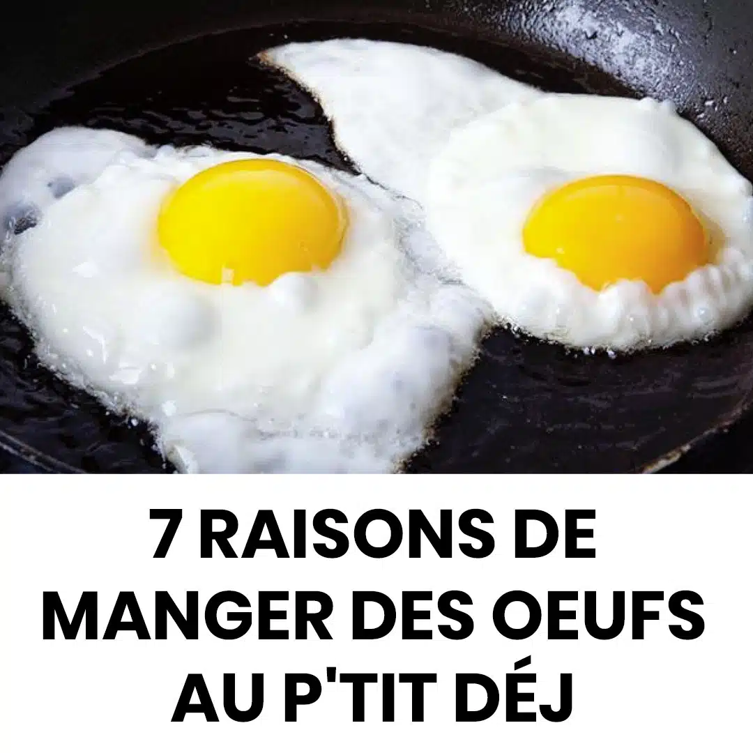 7 raisons de manger des œufs au petit déjeuner