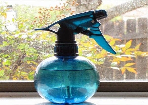 8-astuces-pour-vous-debarrasser-des-mouches-dans-votre-maison4