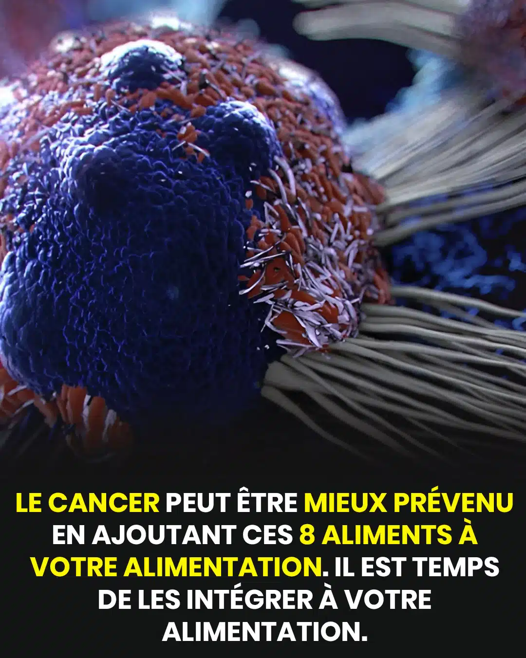 8 types d’aliments qui peuvent aider à réduire le risque de cancer.