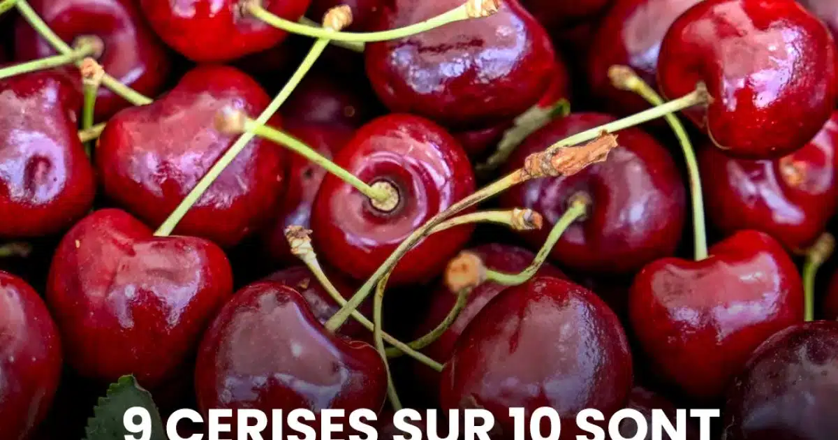 9 cerises sur 10 sont contaminées par des pesticides nocifs, en particulier lorsqu’elles proviennent de ce pays