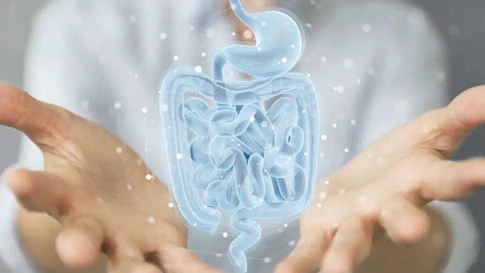 Planche en bois avec une tasse d'infusion, des clous de girofle et du romarin