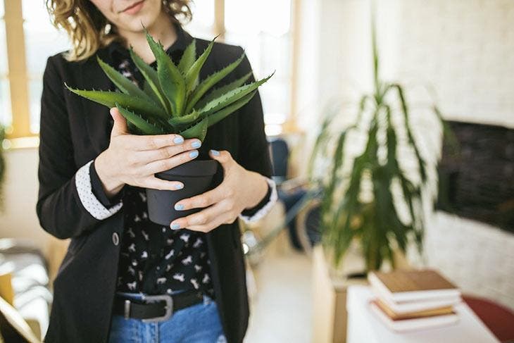 Femme qui tient une plante d’aloe vera – source : spm