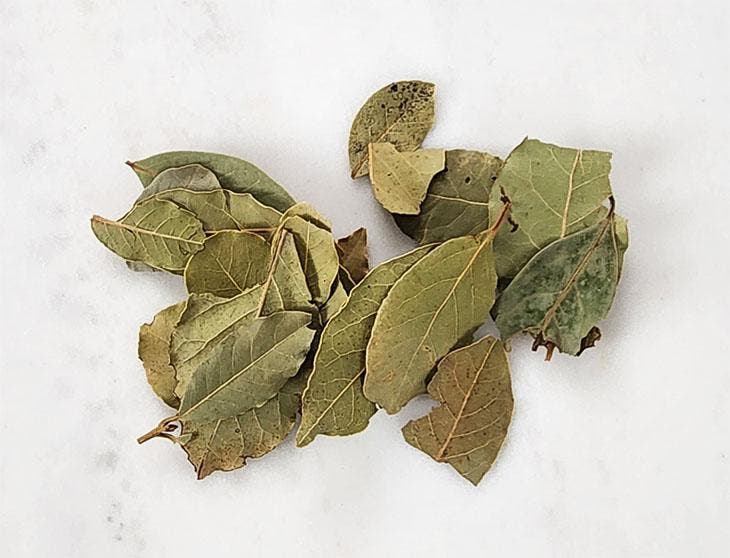 Feuilles de laurier