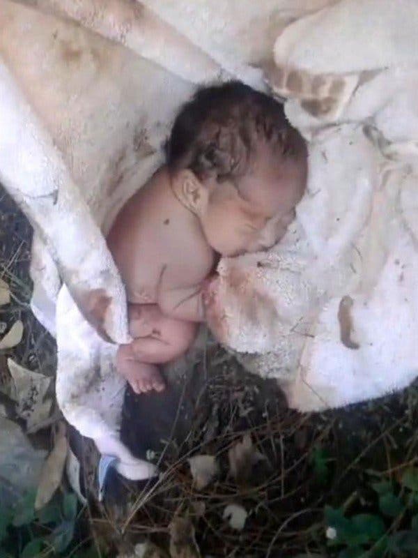 Il trouve un bébé abandonné dans un parc.