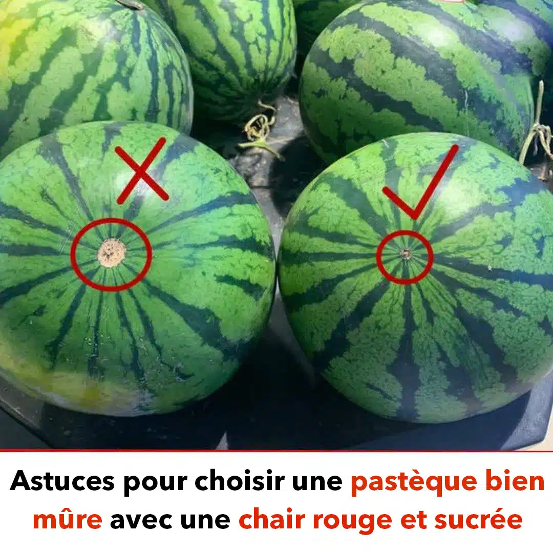 L’astuce pour choisir une pastèque mûre avec la chair bien rouge et sucrée ‏‎