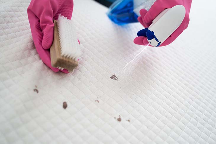 Nettoyage de matelas – source : spm