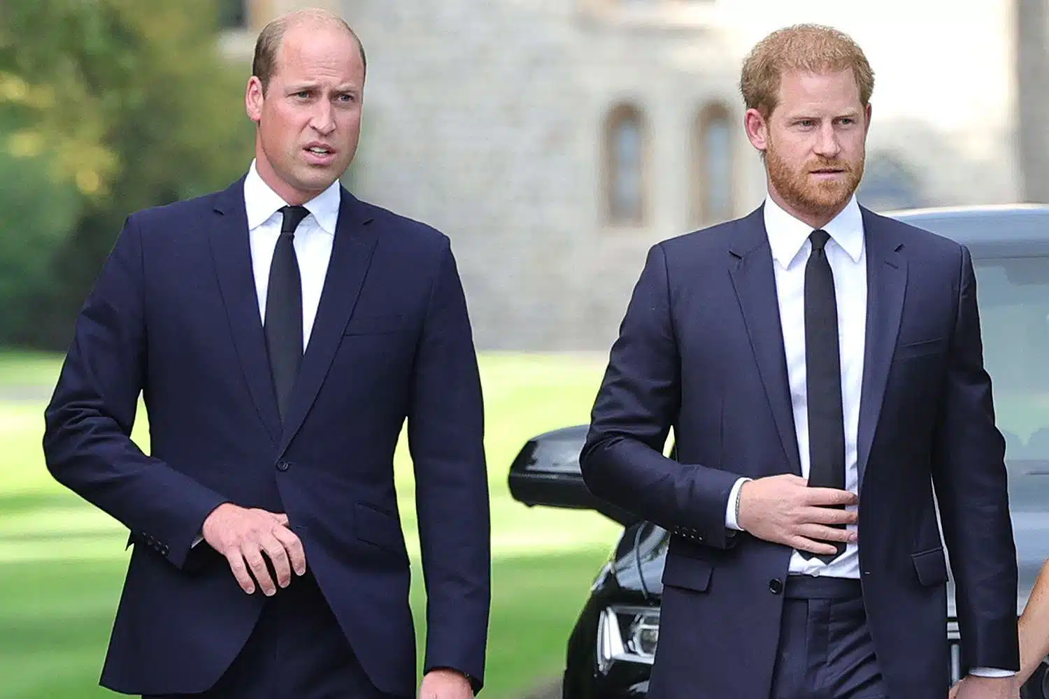William et Harry marchant ensemble dans les jardins de Windsor