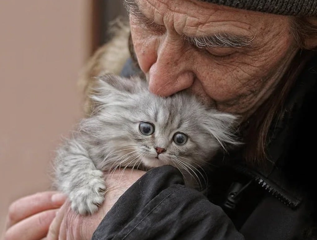 Un homme âgé, une jeune femme et un chaton, souriants, dans un intérieur chaleureux en rénovation
