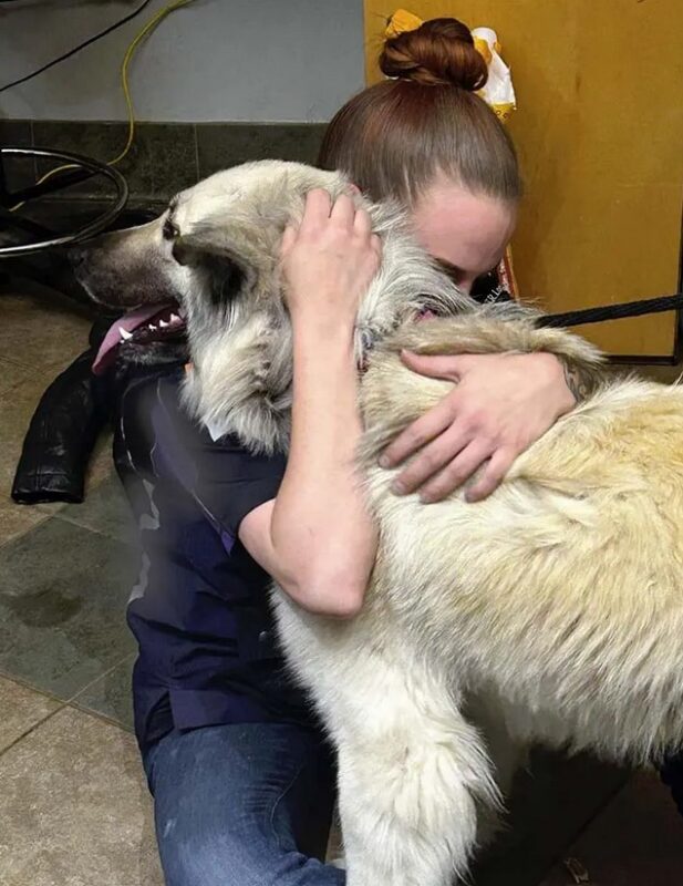 Lilo réunie avec sa famille