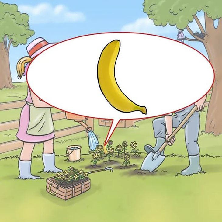 Solution du défi visuel 