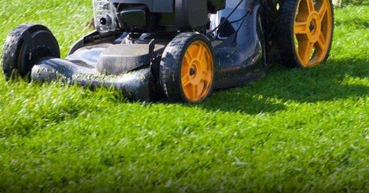 Tondre la pelouse un jour férié : les horaires à respecter pour éviter une lourde amende