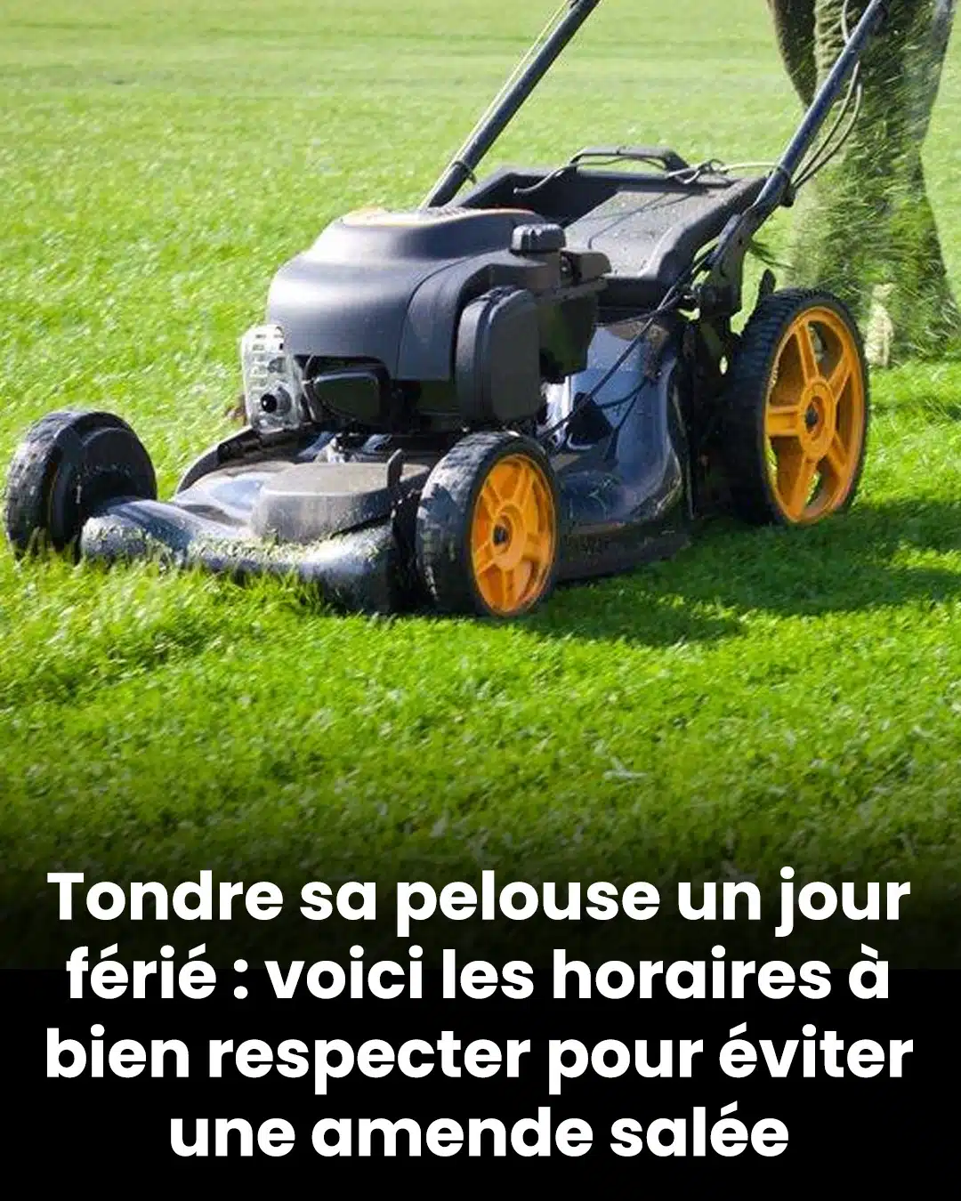 Tondre la pelouse un jour férié : les horaires à respecter pour éviter une lourde amende
