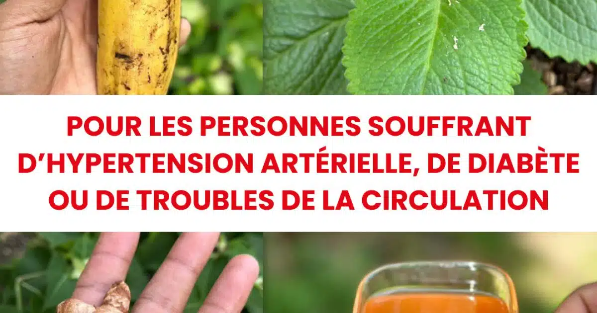 À 60 ans, j’ai diminué mon hypertension artérielle, mon diabète et ma mauvaise circulation sanguine