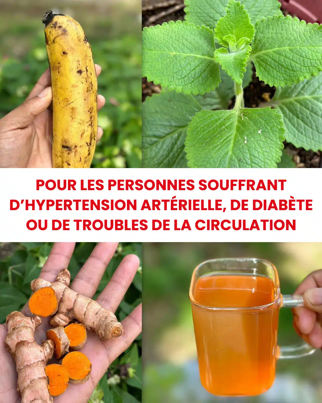 À 60 ans, j’ai diminué mon hypertension artérielle, mon diabète et ma mauvaise circulation sanguine
