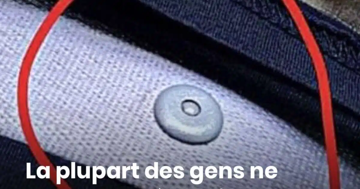 À quoi sert ce petit bouton sur la ceinture de sécurité ?