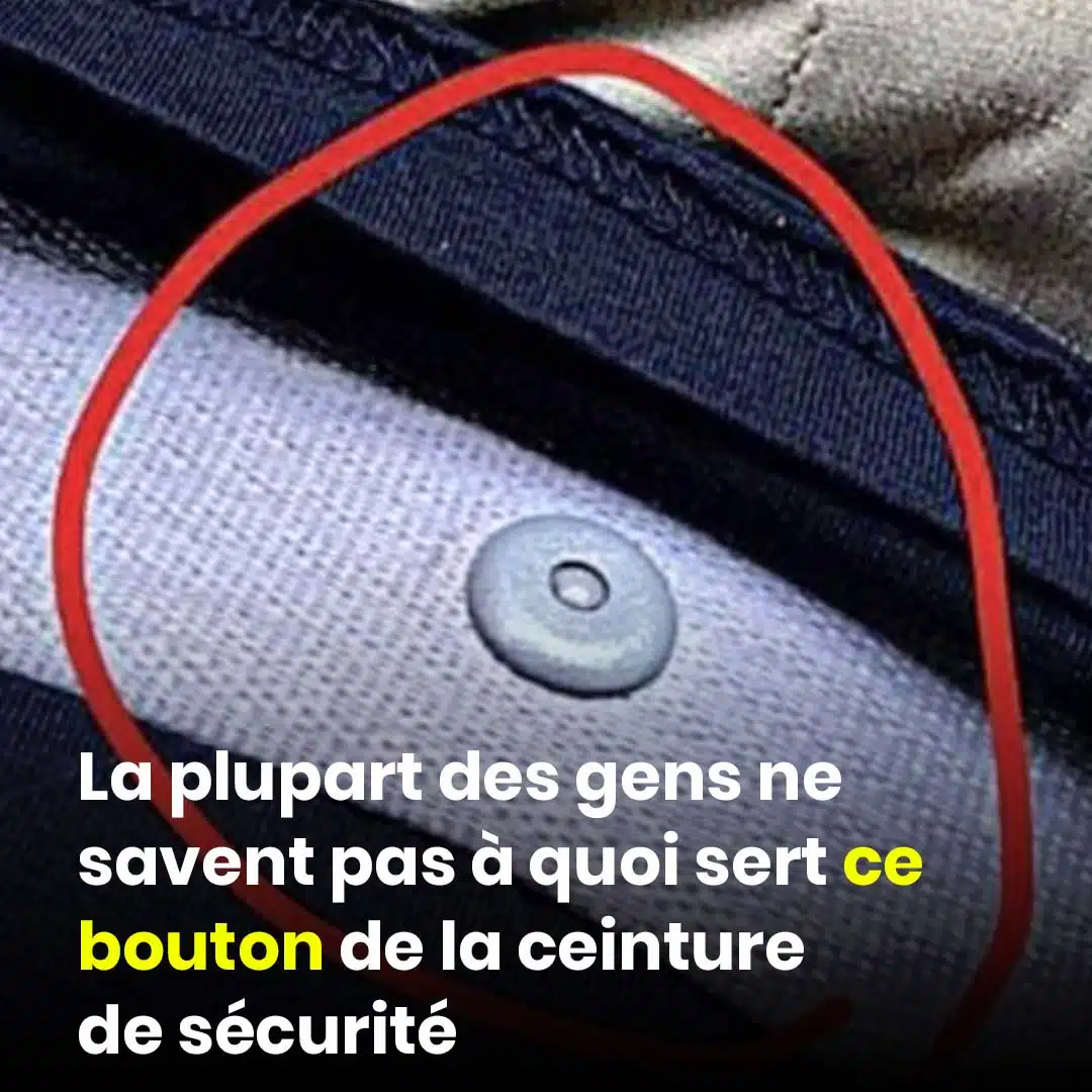 À quoi sert ce petit bouton sur la ceinture de sécurité ?