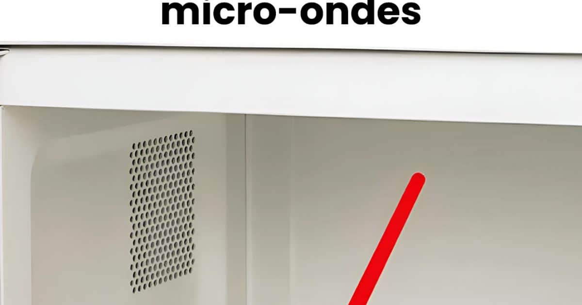 À quoi sert l’anneau du plateau du micro-ondes ?