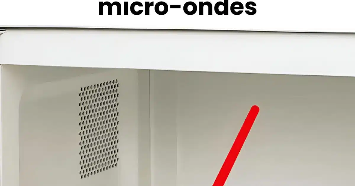 À quoi sert l’anneau du plateau du micro-ondes ?