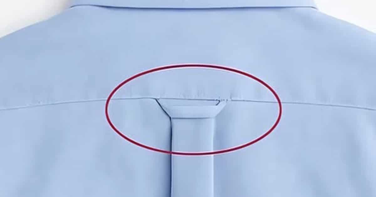 A quoi sert vraiment la boucle située dans le dos d’une chemise ?