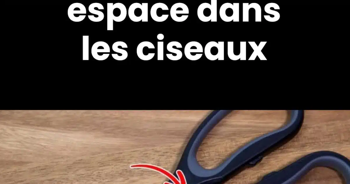 À quoi sert vraiment l’étrange espace dans les ciseaux ?