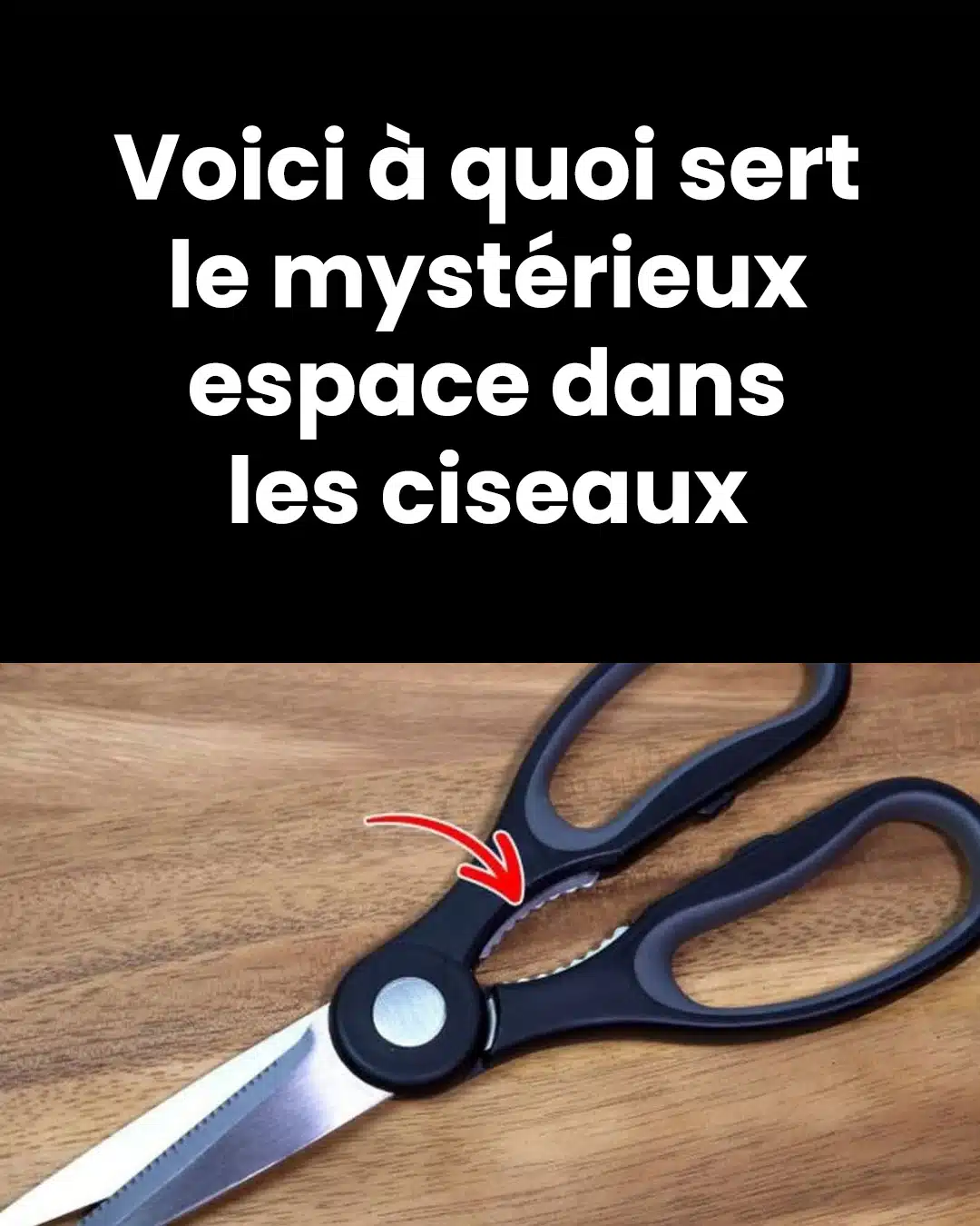 À quoi sert vraiment l’étrange espace dans les ciseaux ?