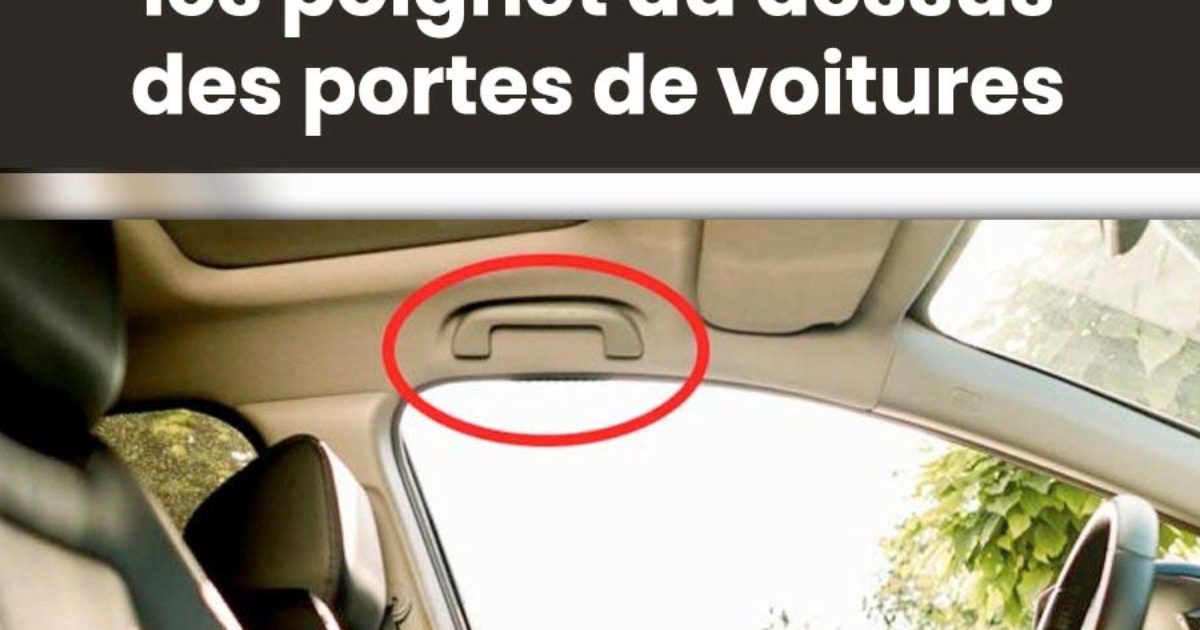 A quoi servent les poignet au dessus de la porte de la voiture ?