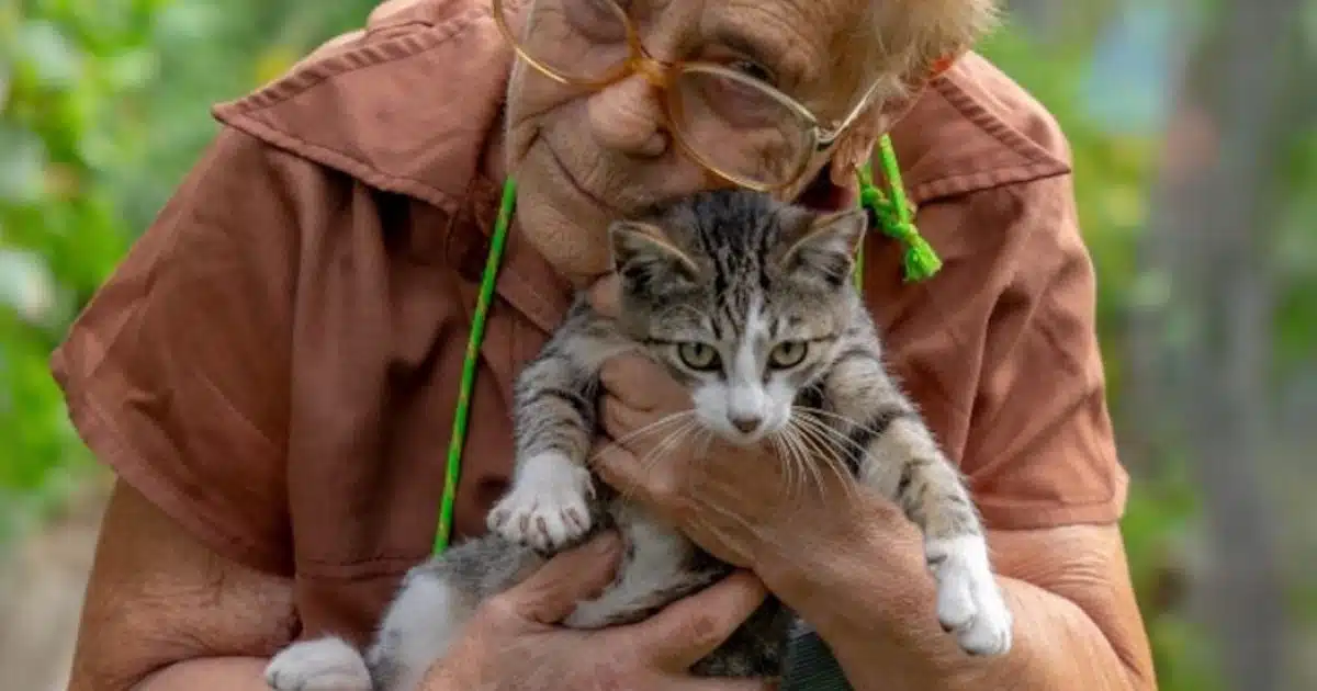 Agnès (78 ans): « Mes chats hériteront de ma fortune, mes enfants, qui ne me rendent jamais visite, n'en verront pas un centime »