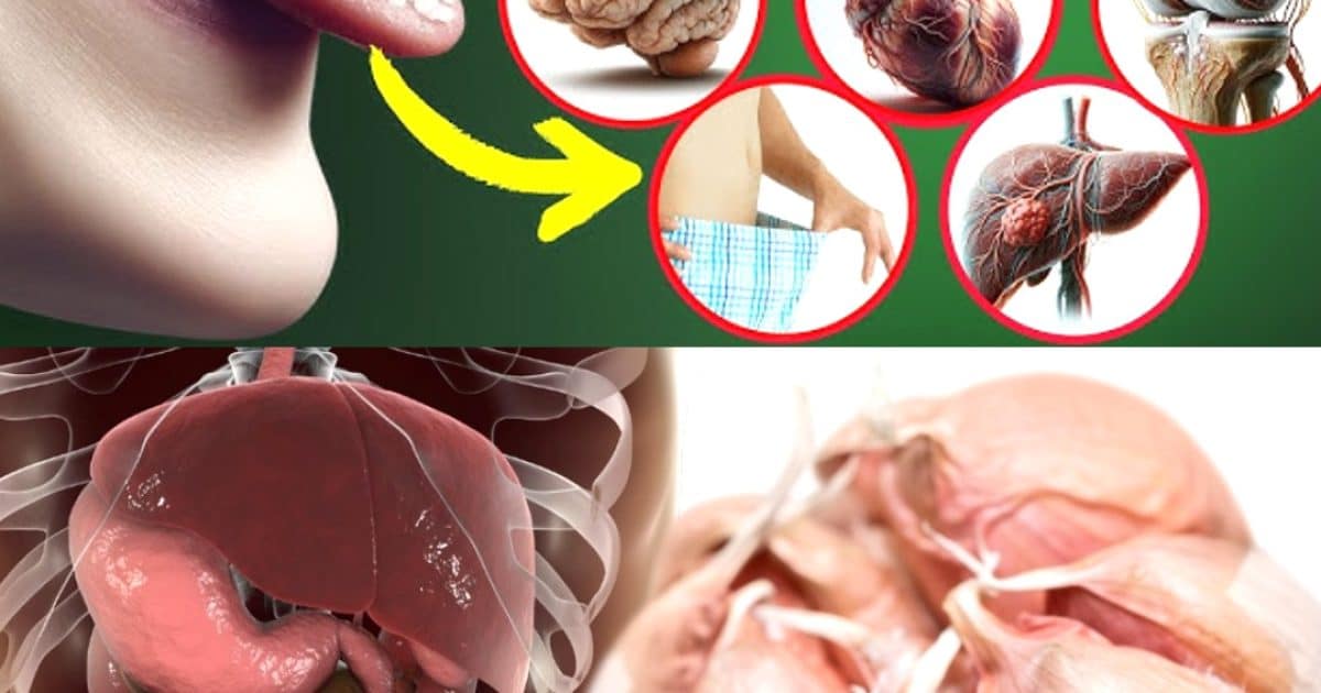 Ail cru : le petit super-aliment aux grands bienfaits pour la santé